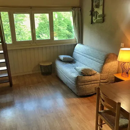Résidence du bec de l'aigle au Lioran Appartement Laveissière